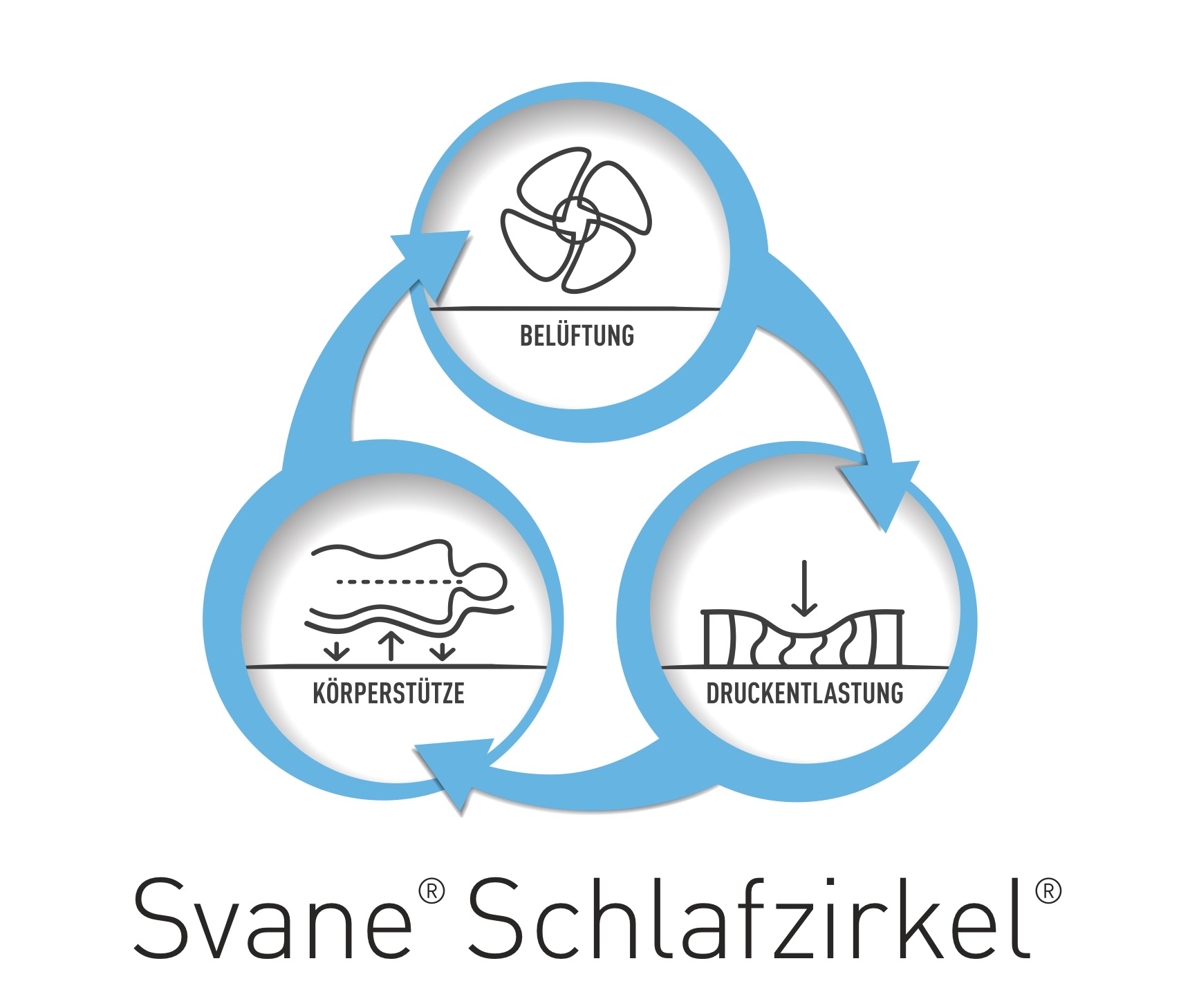 Schlafzirkel Grafik